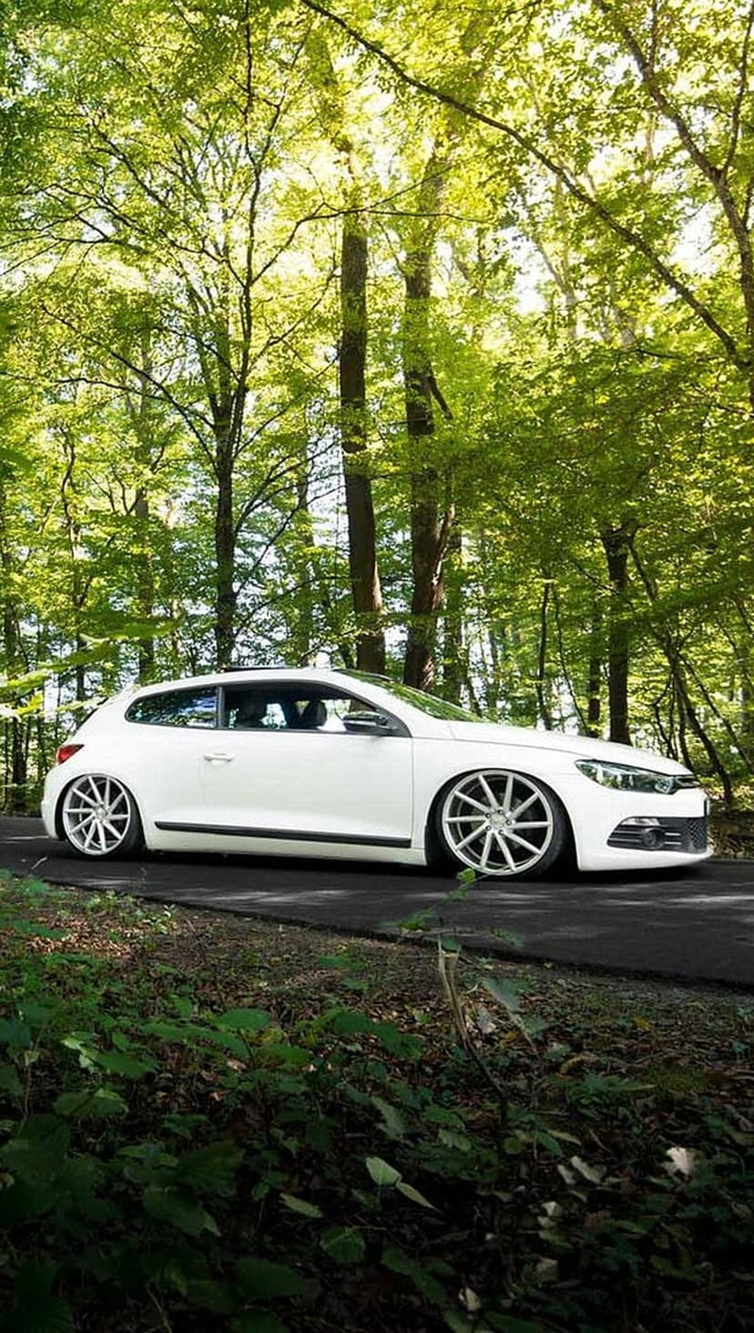 White sports car with custom wheels parked on a forest path under golden sunlight filtering through green leaves.