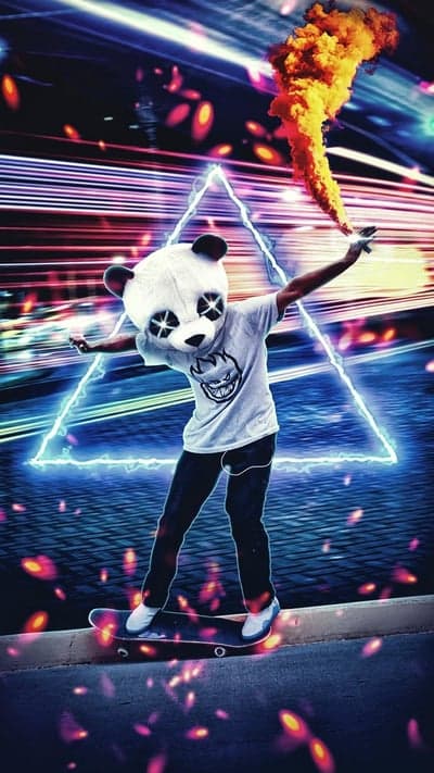 Skateboard Anarchy - Fiery Panda Ride