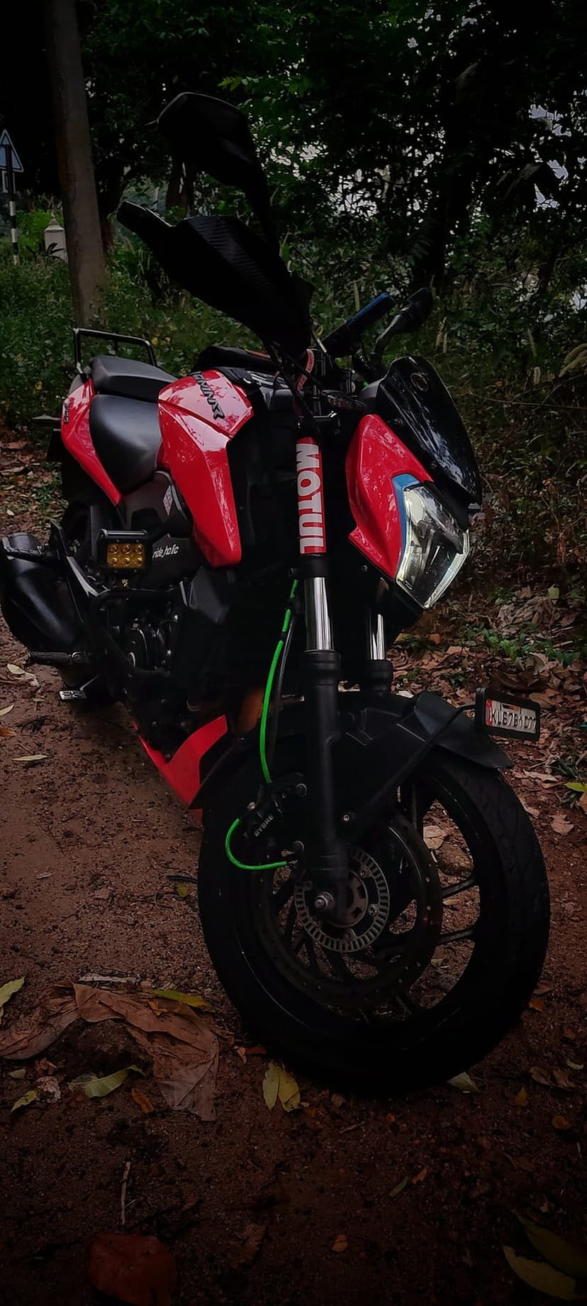 Red sport motorcycle with Motul decals parked on a dirt trail surrounded by green bushes and brown autumn leaves.