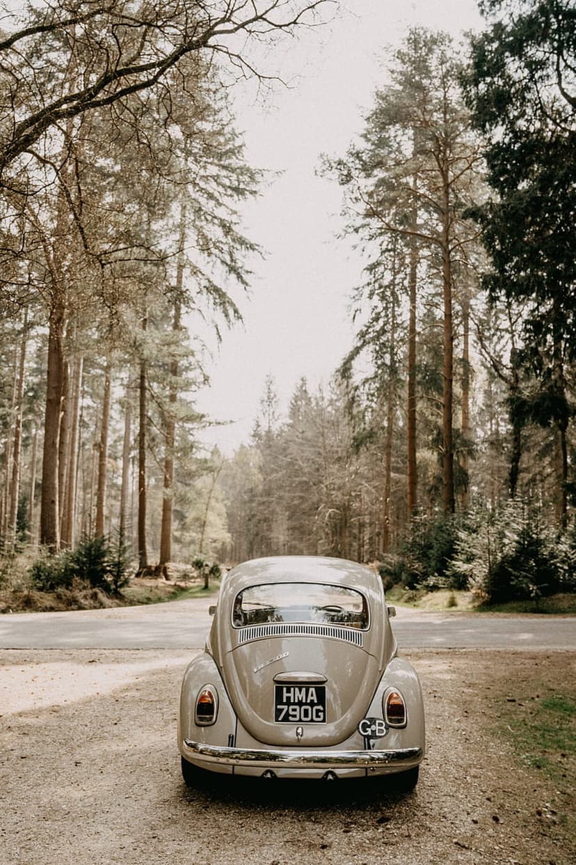 White vintage Volkswagen Beetle parked on a pine forest road with dappled sunlight hitting the rear bumper.