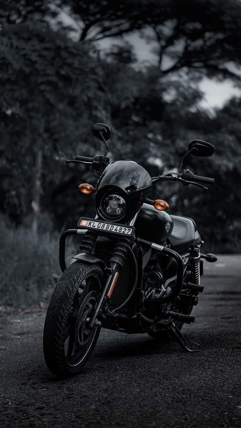 Black Harley Davidson motorcycle parked on an asphalt road with a blurred forest background in soft light.