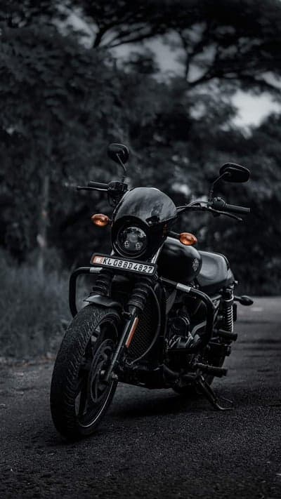 Dark Harley Davidson Motorcycle parked on a tree-lined road
