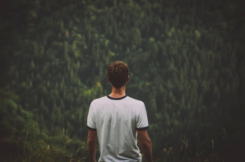 Man in a white t-shirt stands facing a dense green forest covering a steep mountainside during a cloudy day.