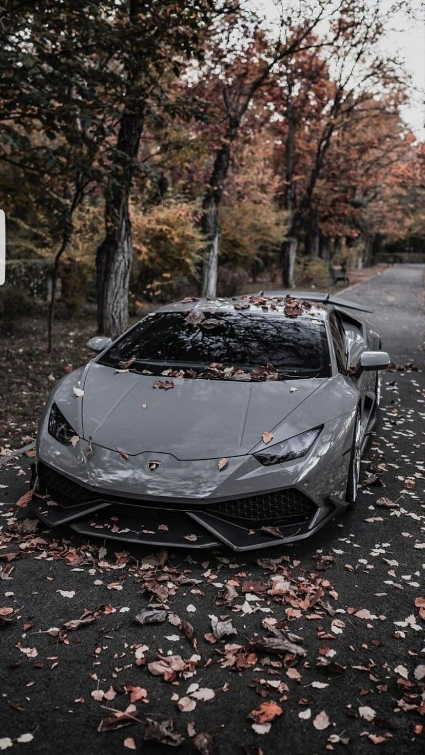 Gray Lamborghini supercar covered in orange autumn leaves parked on a rural road surrounded by vibrant fall trees.