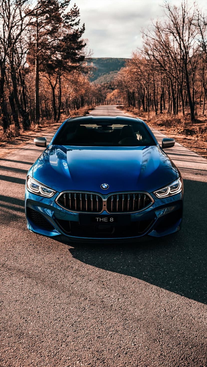 Blue BMW 8 Series coupe driving on an asphalt road surrounded by bright orange and yellow autumn forest trees.
