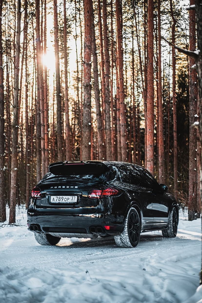 Black Porsche SUV drives on a snowy forest path between tall pine trees under warm, dappled winter sunlight.
