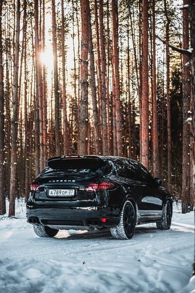 Black Porsche in Snowy Forest