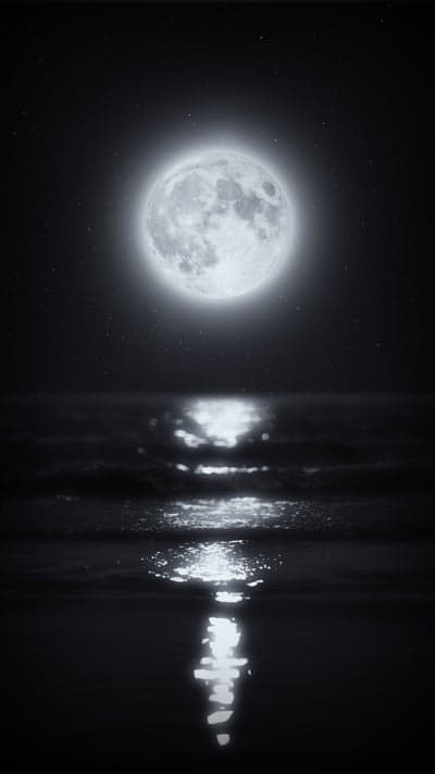 Full Moon Reflecting on Ocean Waves at Night