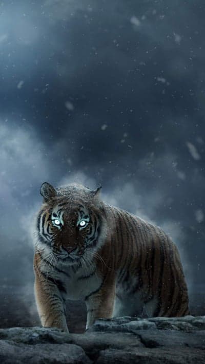 Frostbite Fury - The Tiger's Ethereal Glow