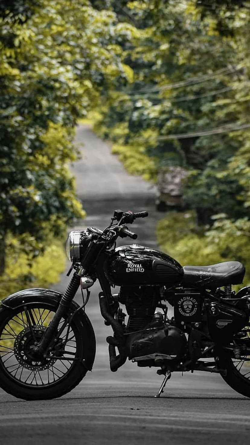 Royal Enfield motorcycle parked on a paved road flanked by tall green trees and soft woodland sunlight.