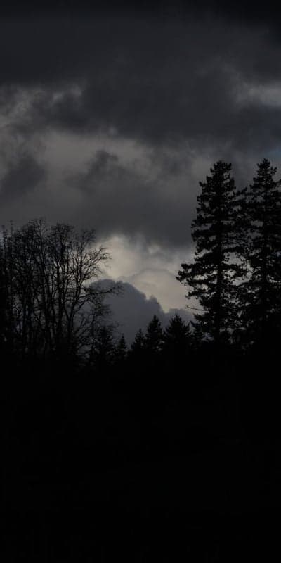 Ominous Skies Over Forest Silhouettes - Approaching Storm