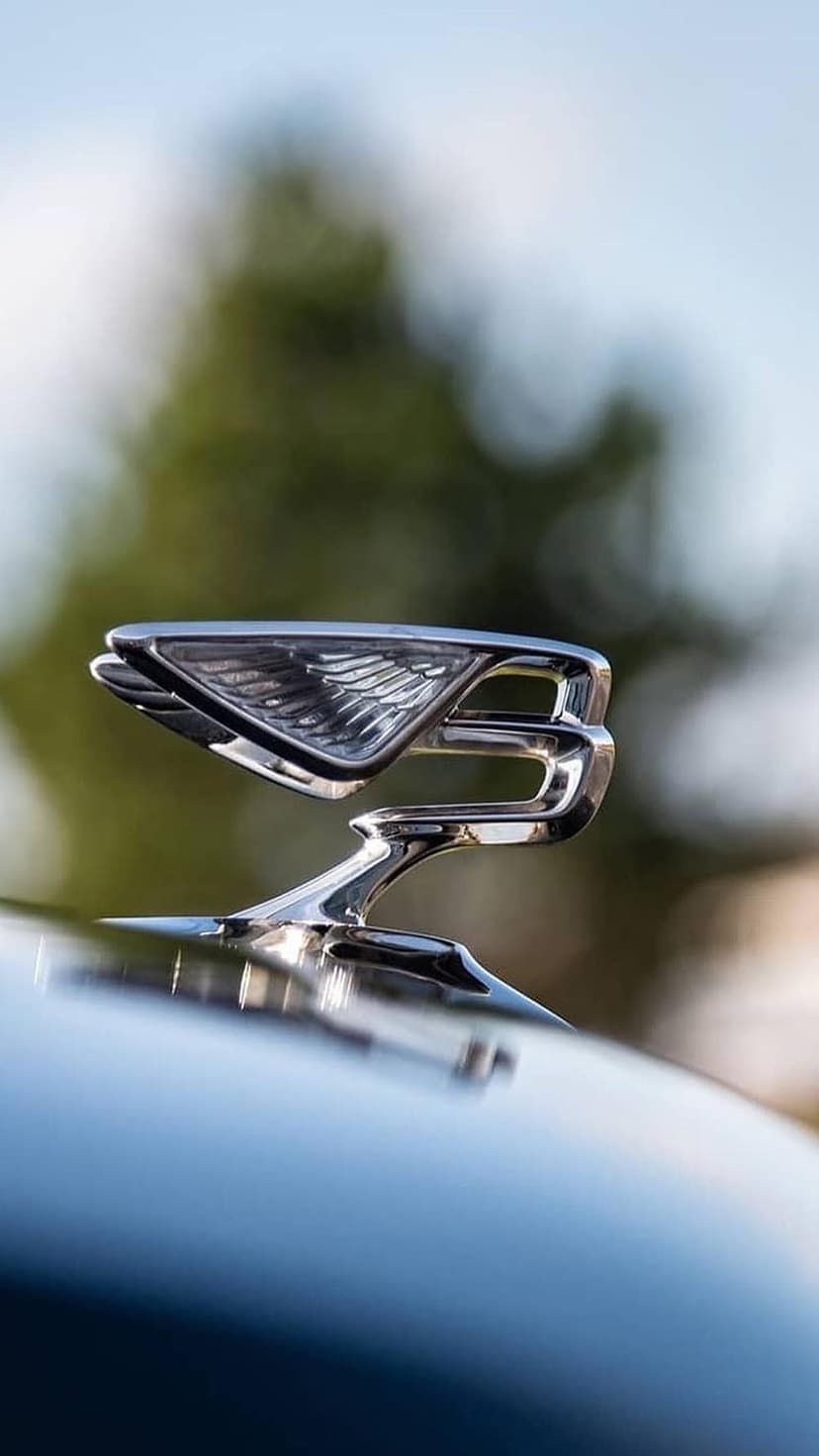Bentley Flying B hood ornament with chrome wings reflects green trees and blue sky on a dark car hood.