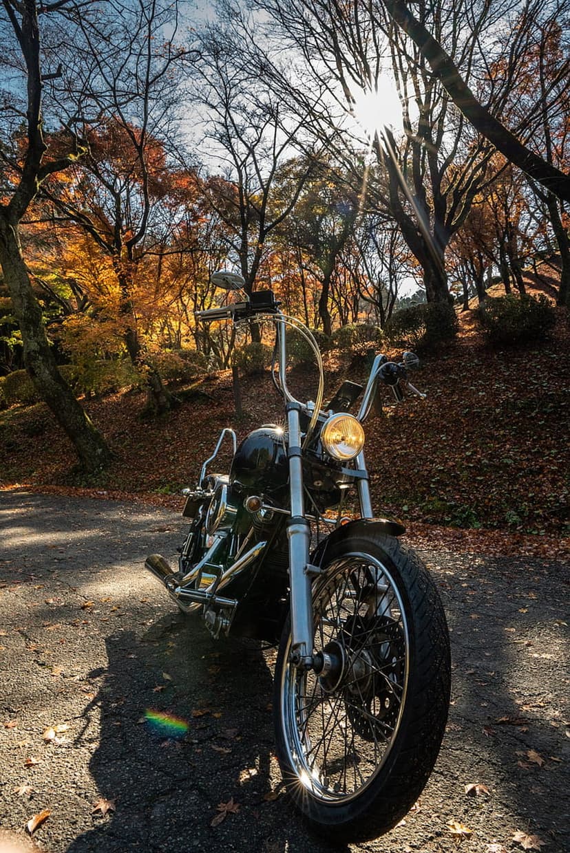Black vintage motorcycle parked on a leaf-covered forest trail during golden hour with warm sunlight filtering through.