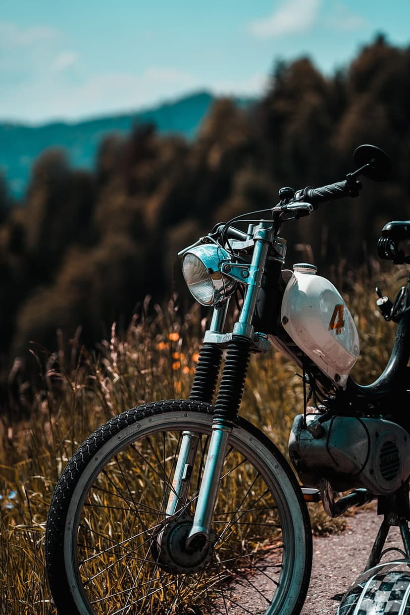White vintage moped with a red number four sits in tall grass before a pine forest and hazy blue mountains.