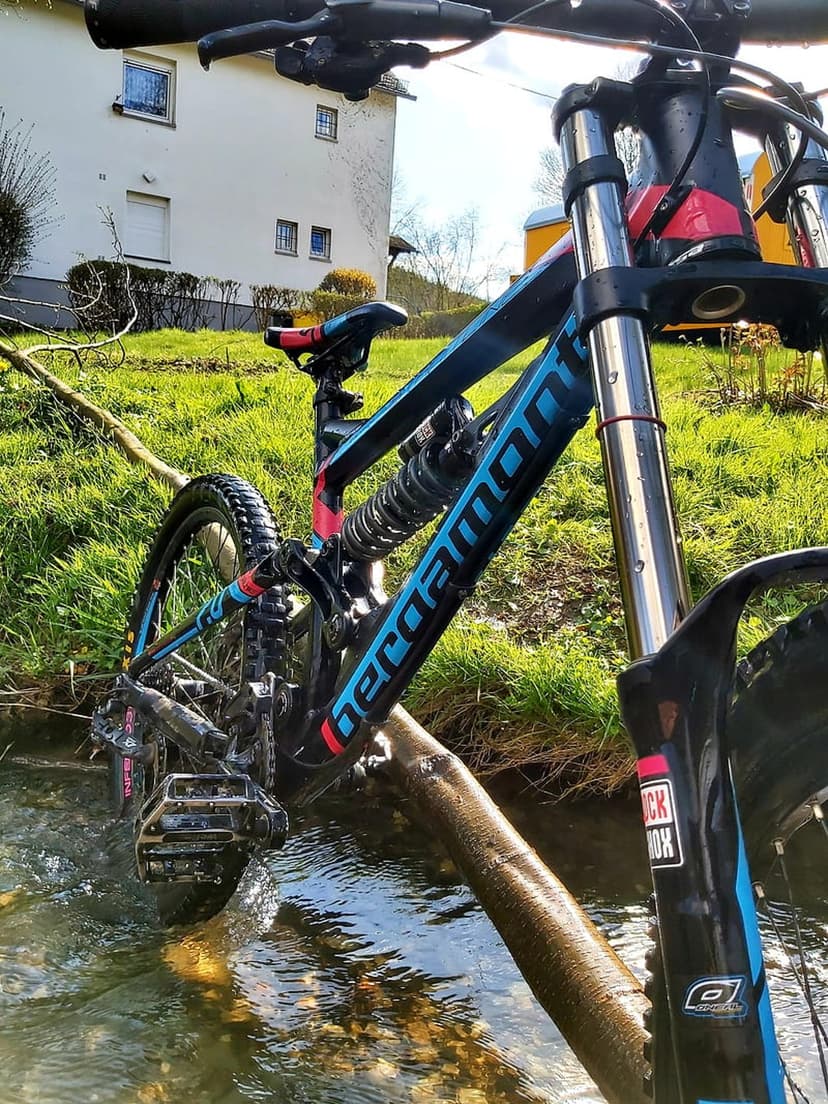 Black and blue mountain bike balances on a log over a forest stream with lush greenery in the background.