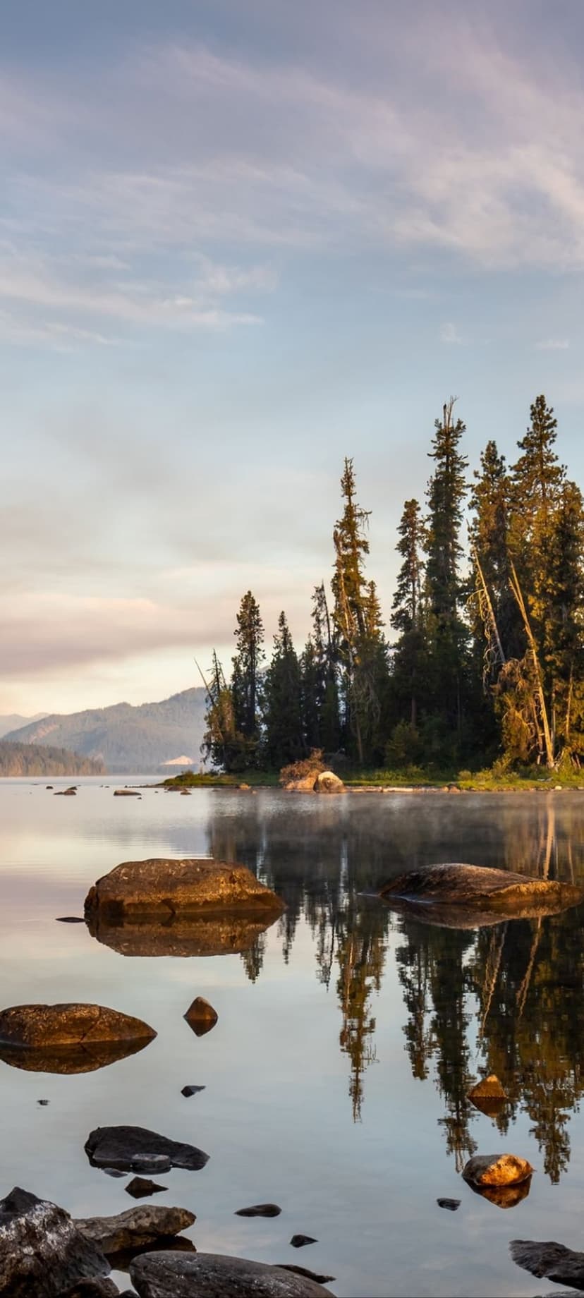 Pine trees stand beside a rocky shoreline as morning mist settles over a calm, reflective wilderness lake surface.