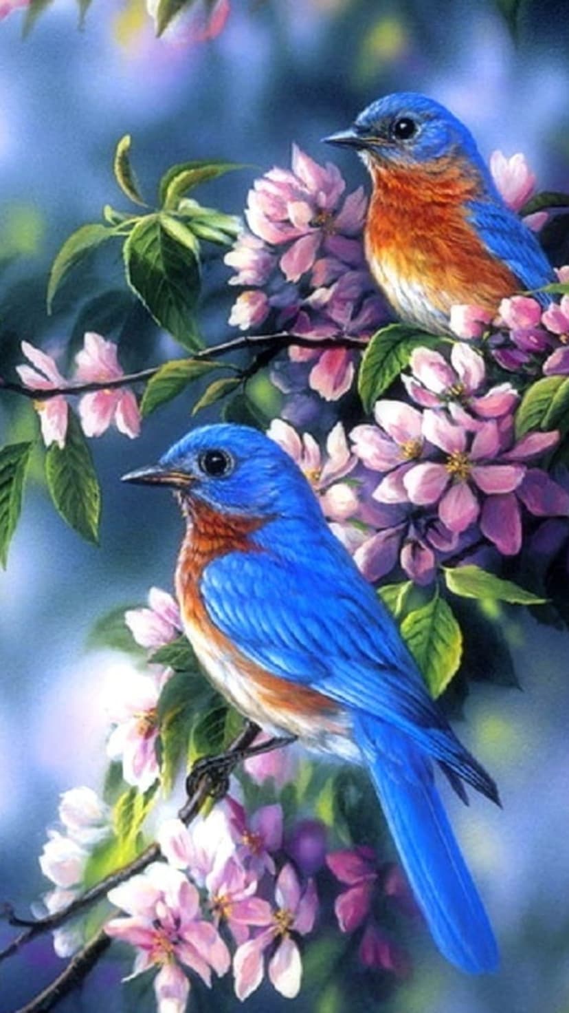 Two bluebirds perched on a flowering branch with pink blossoms against a soft, blurred green background.