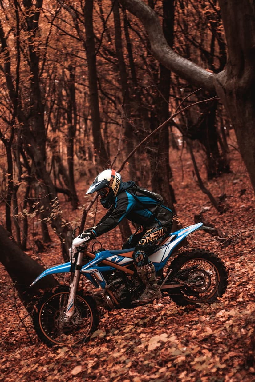Motocross rider on a blue dirt bike races through a sunlit autumn forest trail covered in golden fallen leaves.