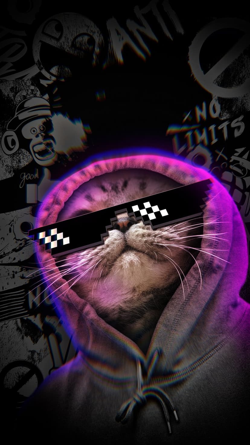 Cat wearing a black hoodie and pixelated sunglasses surrounded by a purple neon outline and graffiti art.