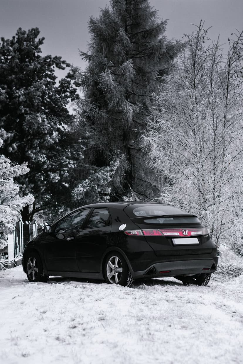 Black Honda Civic hatchback stands amidst snow-covered trees and a frozen forest landscape under soft light.