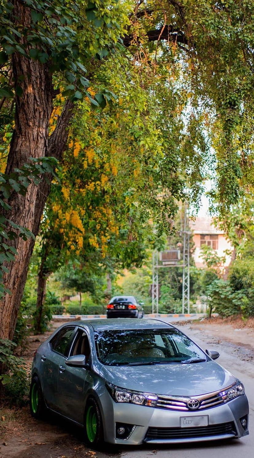 Silver Toyota Corolla with bright green wheels parked on a leaf-strewn road under flowering yellow trees.