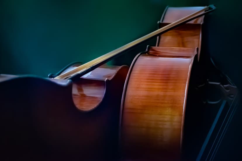 Double bass strings and wooden body with a bow resting across the surface in a close-up orchestral perspective.