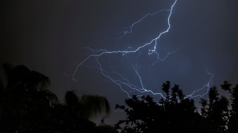 Jagged blue lightning bolt forks through dark storm clouds above the black silhouettes of dense forest trees.