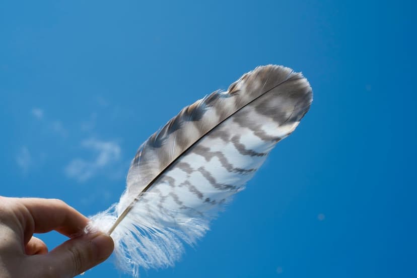 Person's hand holding a striped brown and white feather upward against a vast, vibrant, and cloudless blue sky.