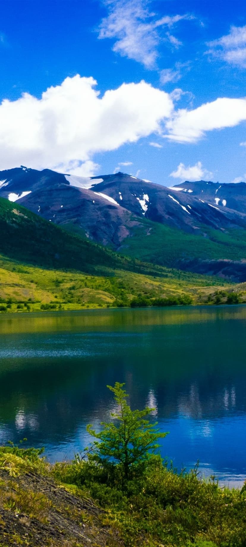 Deep blue mountain lake reflects jagged snowy peaks behind a foreground of green hills and a small evergreen tree.