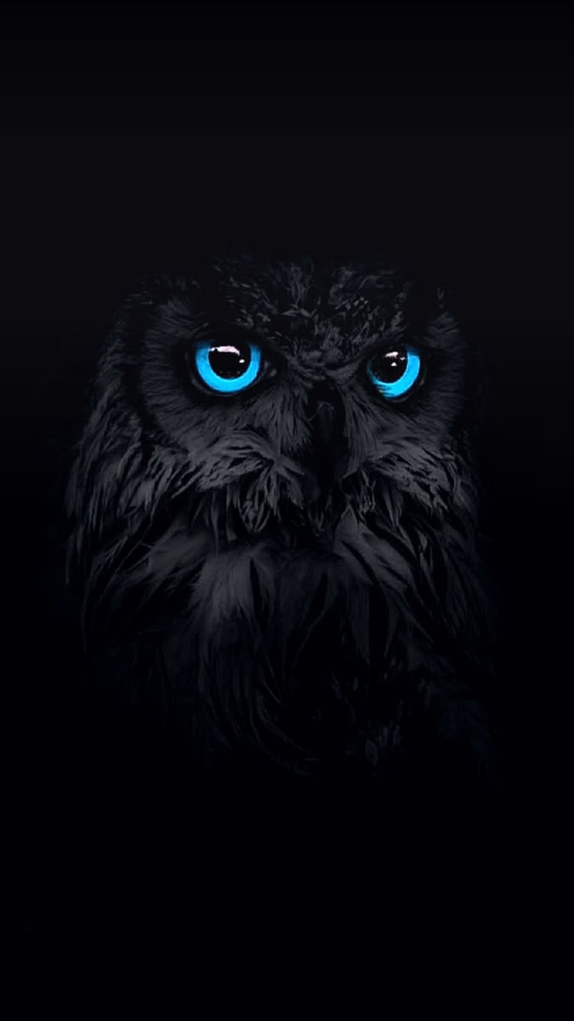Black owl with glowing blue eyes stares forward from deep shadows in a close-up vertical wildlife composition.