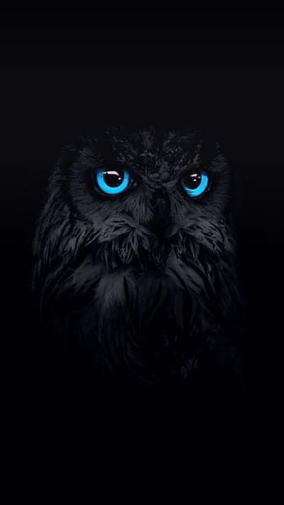 Nocturnal Black Owl with Electric Blue Eyes Phone Backdrop