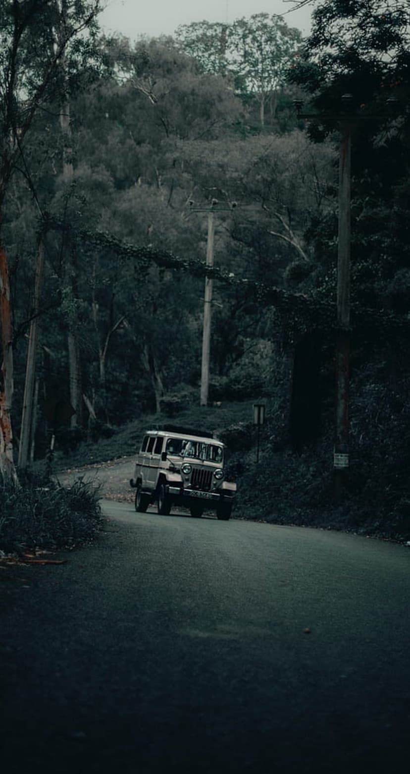 Beige vintage Jeep driving on an asphalt road through a dense, foggy forest with tall trees and power lines.