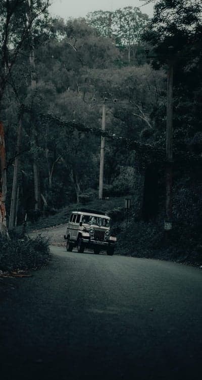 Misty Woods Expedition Jeep Wallpaper for Phone Screens