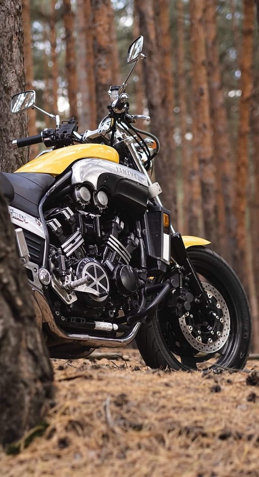 Yellow Yamaha VMAX motorcycle parked between tall trees on a forest floor with polished chrome details.
