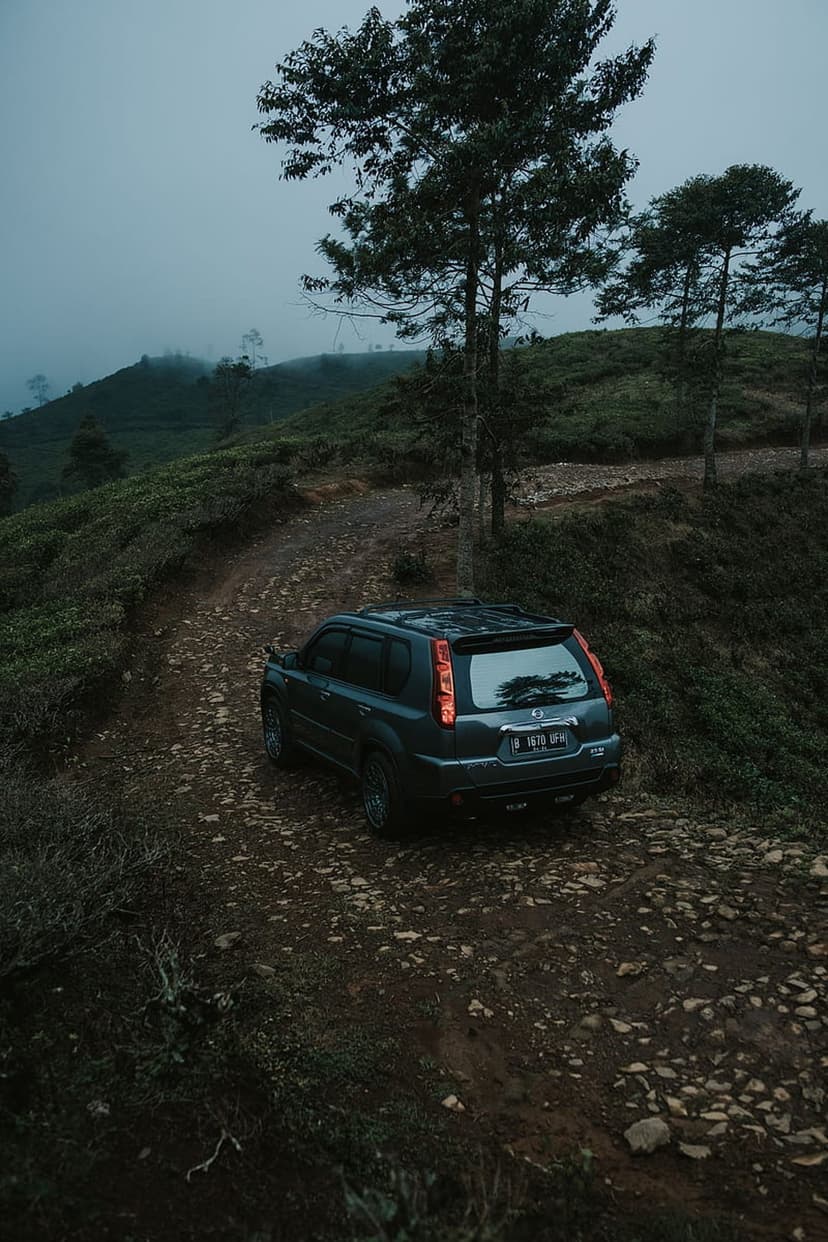 Dark SUV maneuvers along a muddy mountain road through a dense forest shrouded in thick morning mist and fog.