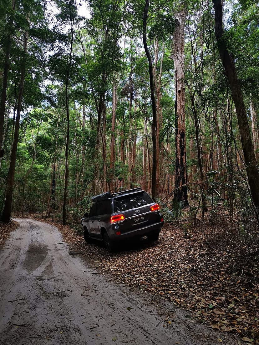 Dark SUV driving on a muddy forest track as sunlight rays filter through a dense canopy of lush green trees.