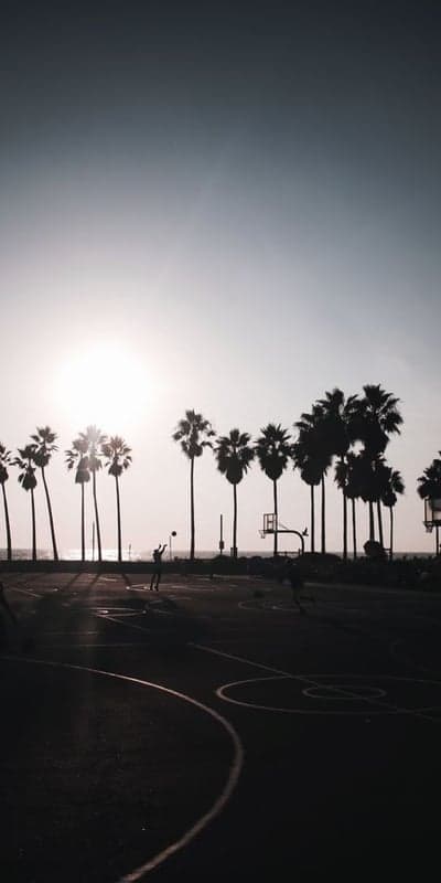 Venice Beach Sunset Hoops - Silhouettes and Palm Trees