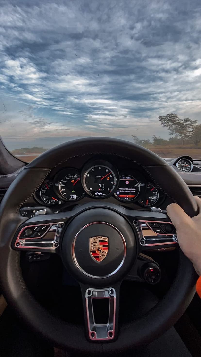 Porsche Panamera steering wheel and dashboard showing 355 km/h on the speedometer through the driver's perspective.