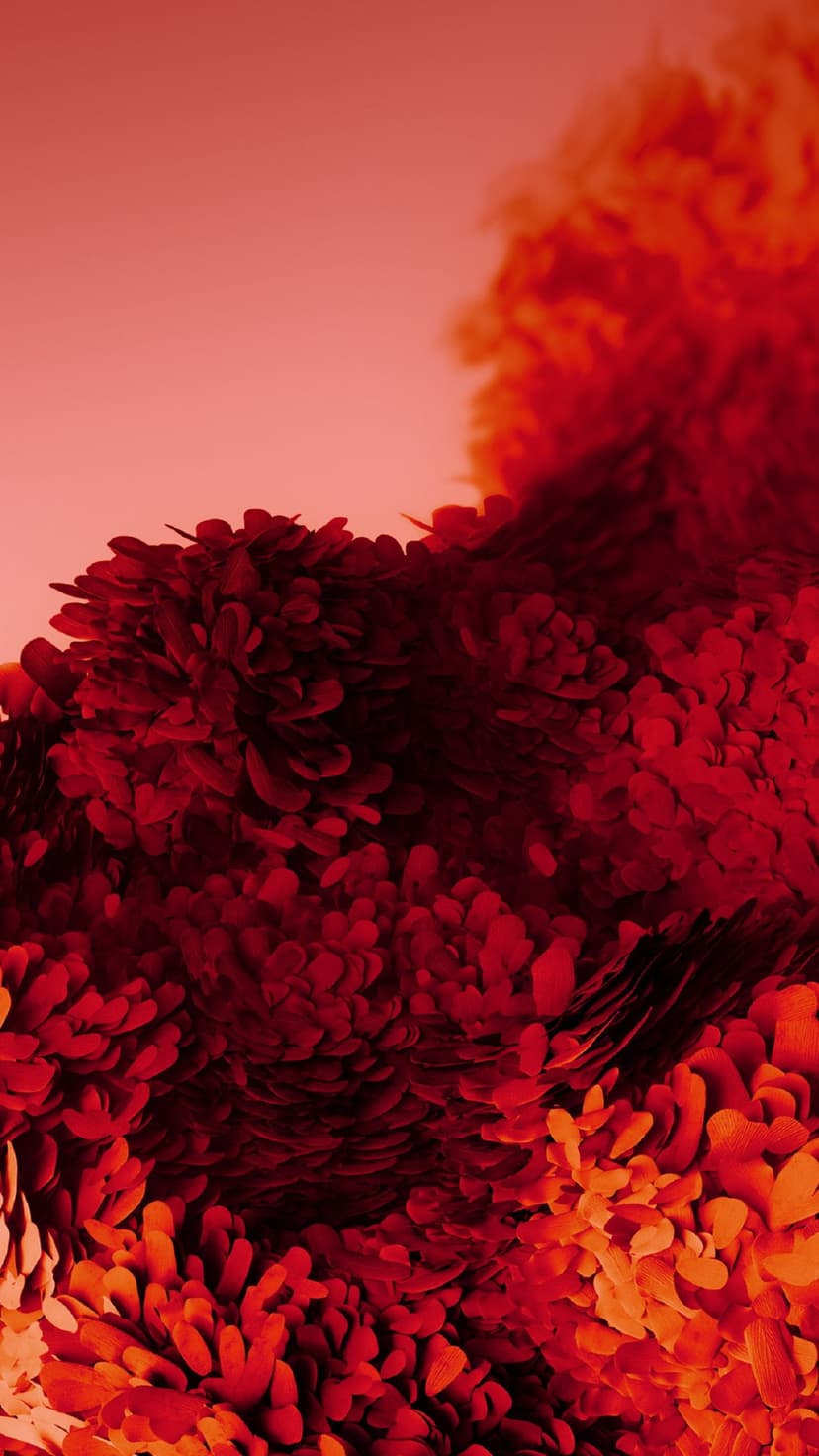 Overlapping crimson and orange petal-like scales form a dense organic texture with soft lighting and deep shadows.
