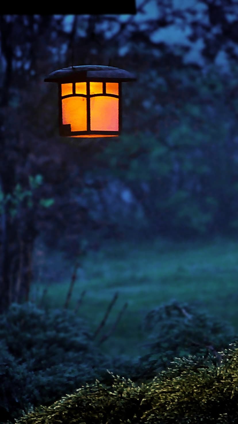 Square outdoor lantern emitting a warm orange light against a blurred backdrop of dark green forest leaves.