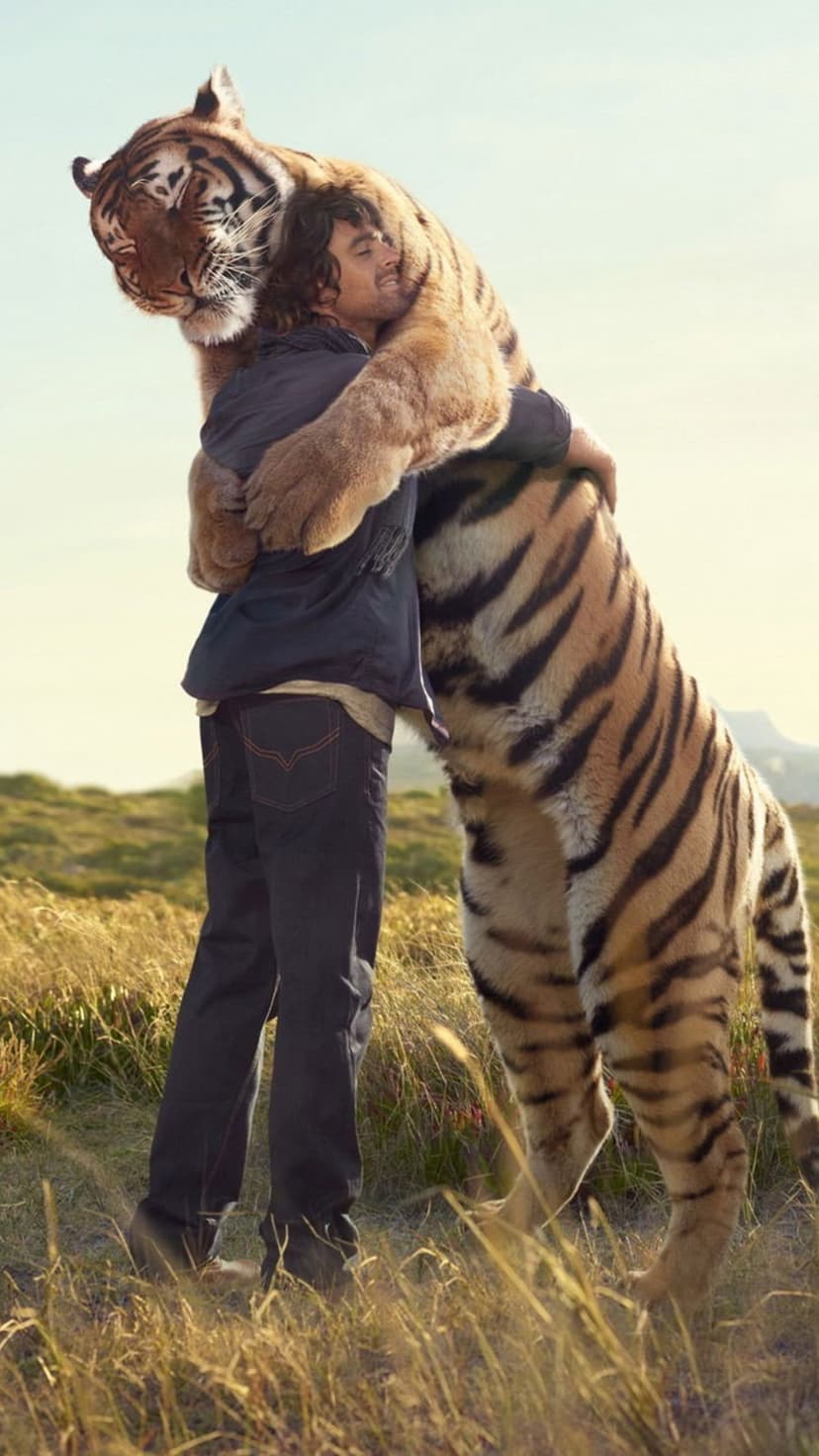 Man and tiger hug in a sunlit meadow with blurred rolling hills and a bright blue sky visible behind them.