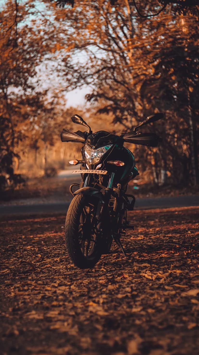 Black motorcycle parked on a dirt path covered in orange autumn leaves under a canopy of glowing golden trees.