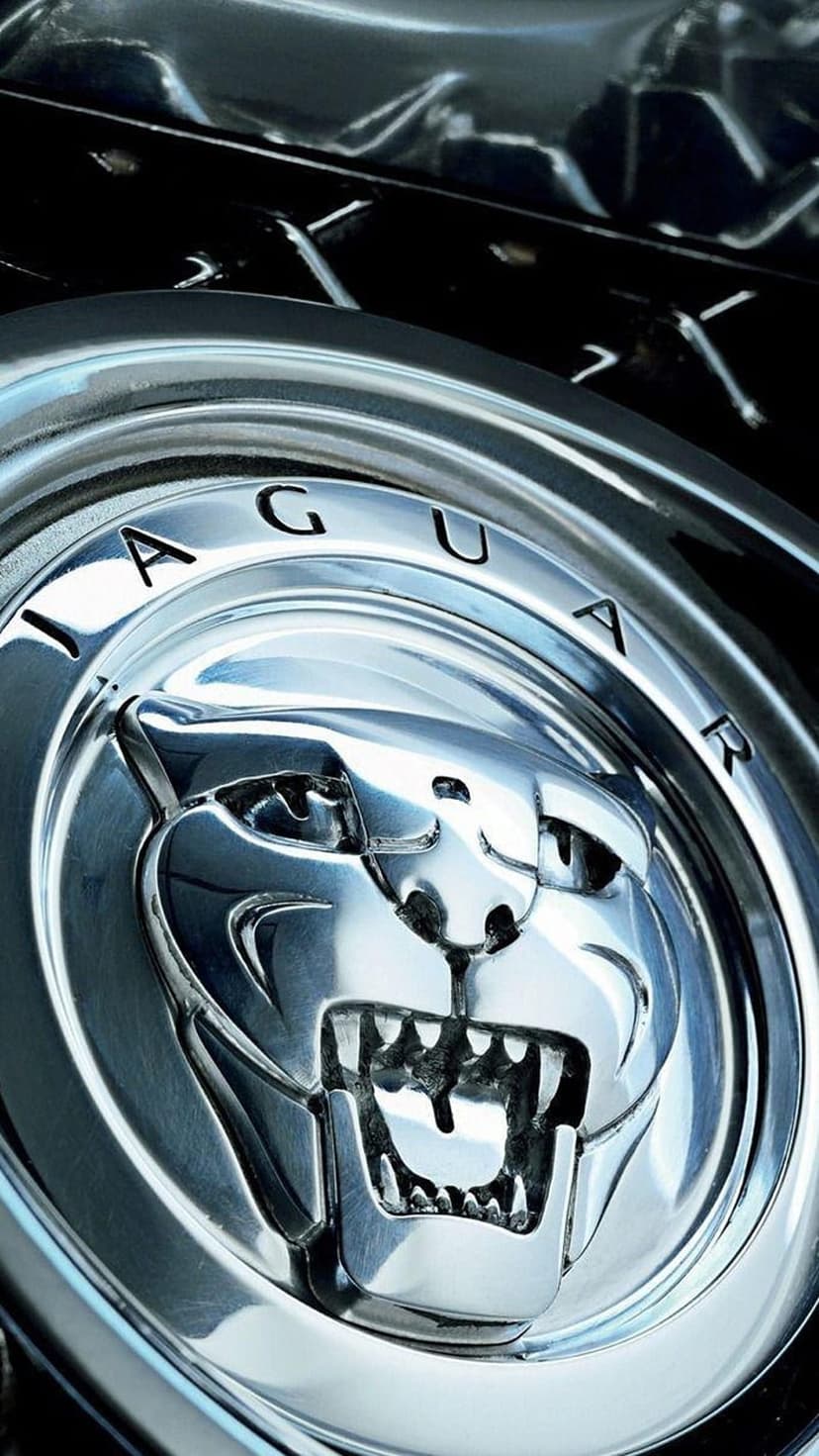 Jaguar growler emblem centered on a polished chrome wheel hub with sharp reflections and metallic textures.