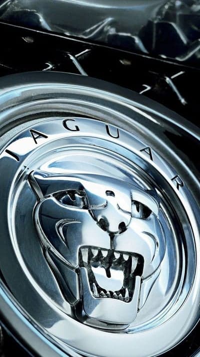 Jaguar Emblem on Chrome Wheel - Luxury Car Detail