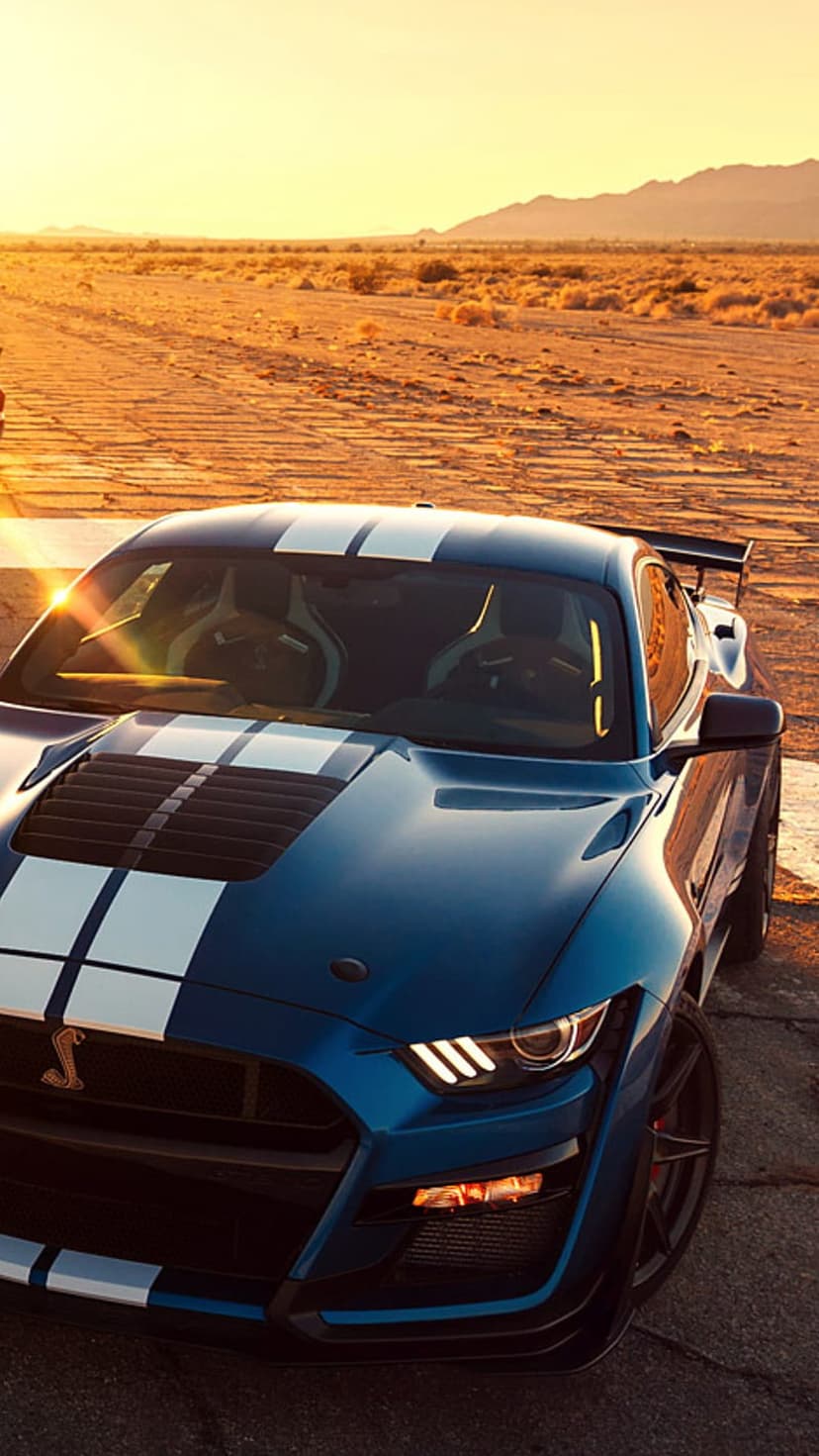 Ford Mustang Shelby GT500 with white stripes on a desert road during golden hour against distant mountains.