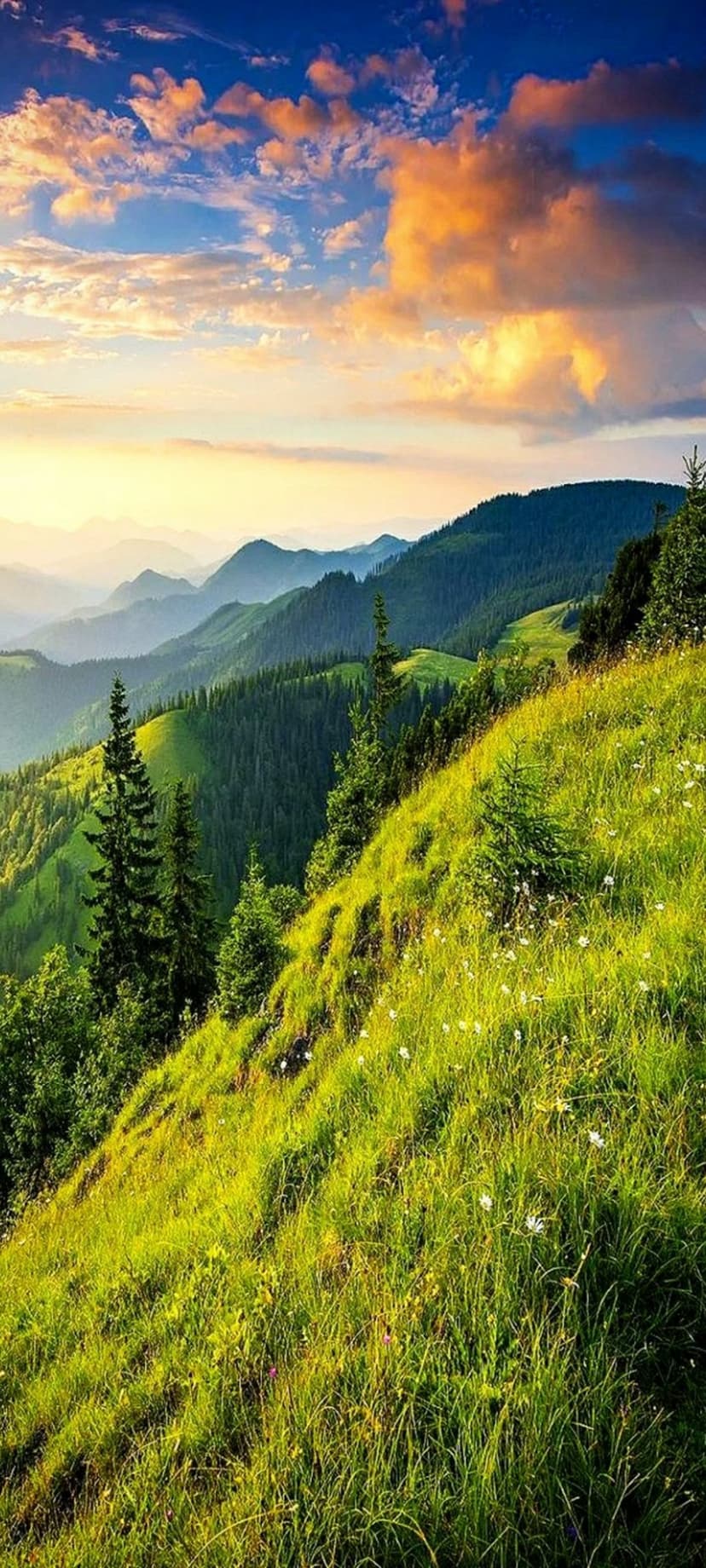 Green mountain slopes with wildflowers rise toward misty peaks under a vibrant orange and blue sunset sky.