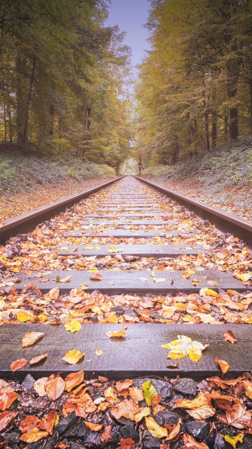Weathered iron rails lead through a tunnel of vibrant orange maple trees and fallen leaves in a quiet woodland.