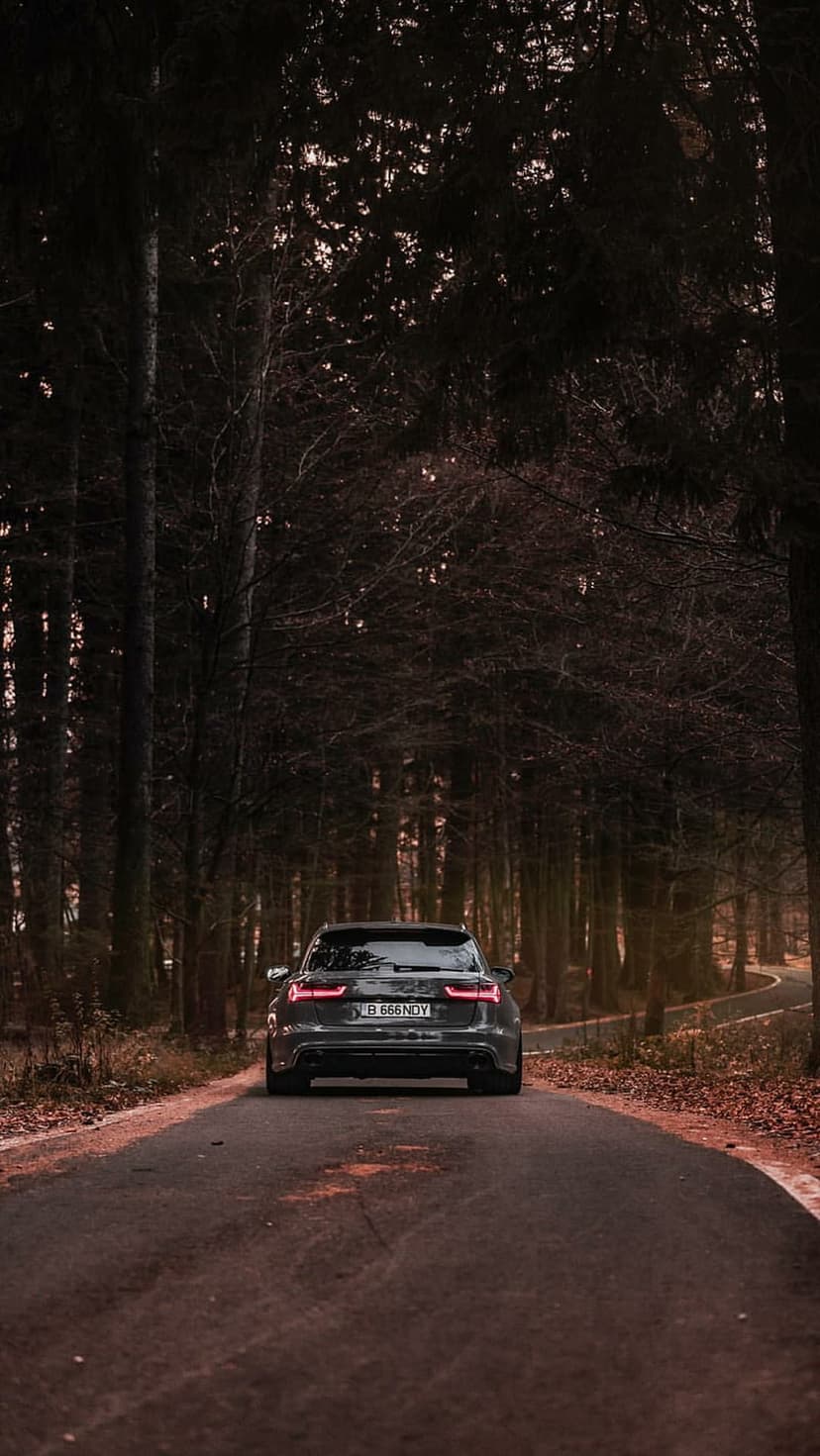 Dark Audi wagon with red taillights driving along a narrow winding road through a dense, shadowy pine forest.