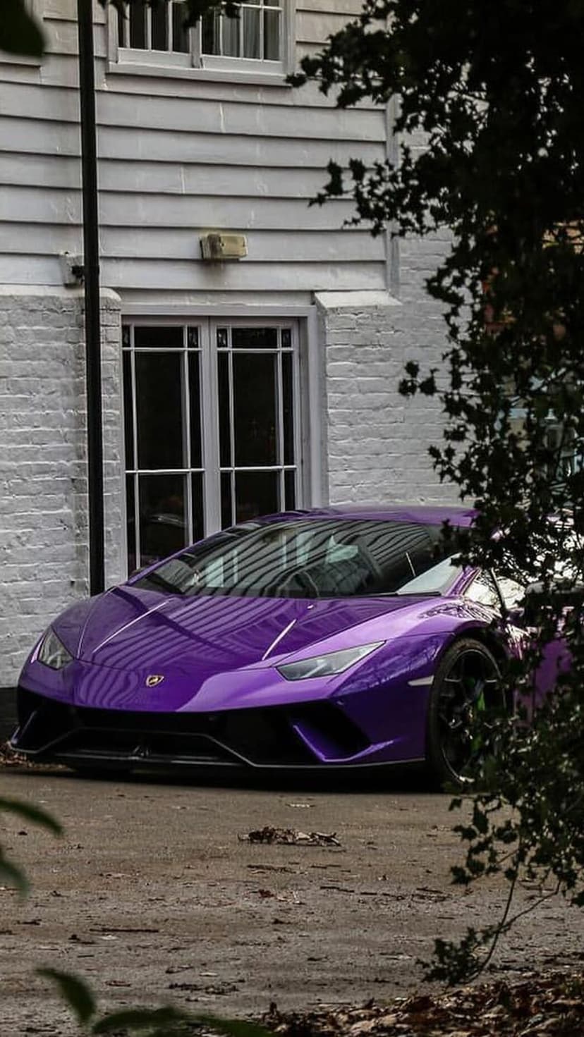 Purple Lamborghini parked by a white brick building with large windows and green leaves in the foreground.