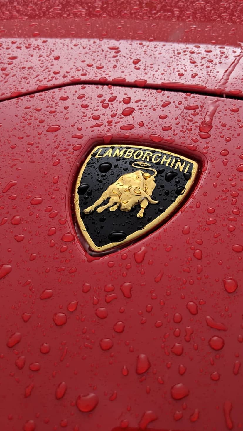 Scarlet Lamborghini hood with a golden bull shield emblem covered in reflective water droplets after rain.